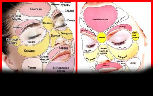 Как узнать по лицу о болезнях. Диагностирование болезней по лицу человека