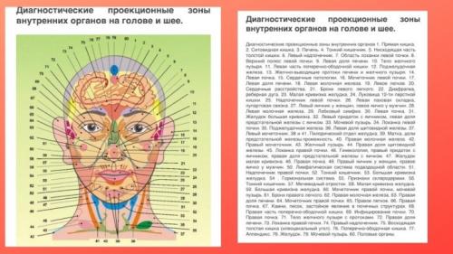 Что такое проекции органов на лице. Щеки. О чем расскажет наша кожа